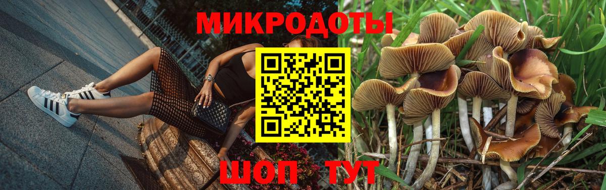 купить  сайты  Вход с VPN  Карасук  Галлюциногенные грибы GOLDEN TEACHER 